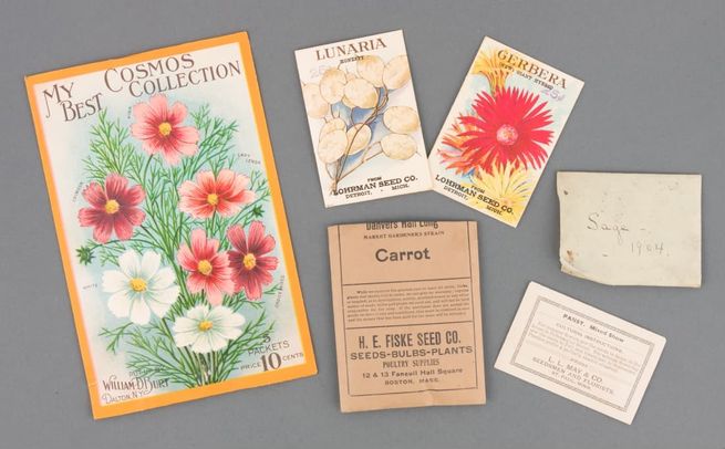 Seed Packet Collection | Historic New England