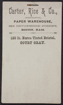 Carter Rice Boston Sample book for Carter, Rice & Co., paper warehouse, 252 Devonshire ...