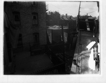 Rooftop View Of Buildings 